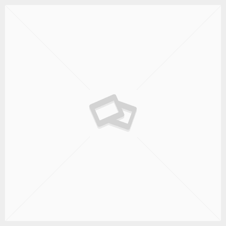Gallery 5 - Alan Soldofsky